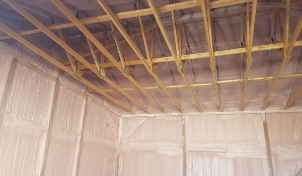 20200902_165317-scaled