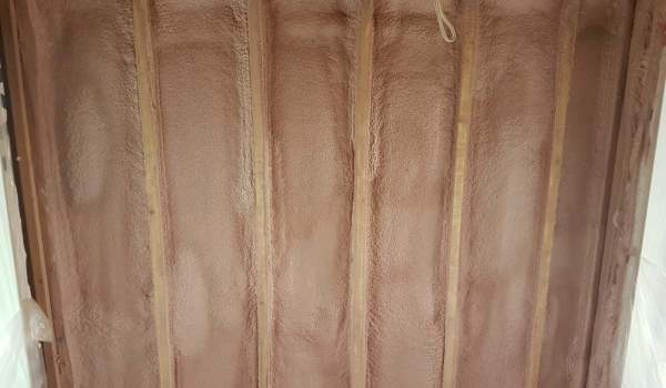 20201006_120907-scaled