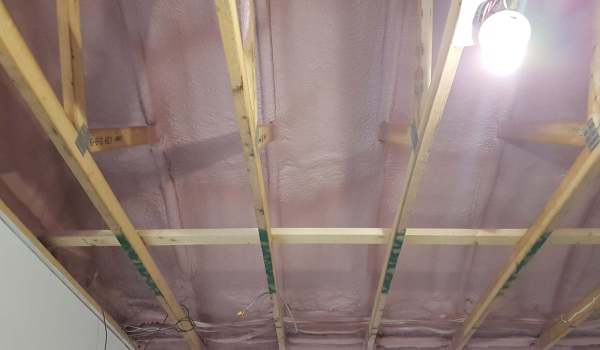 20201028_124900-scaled