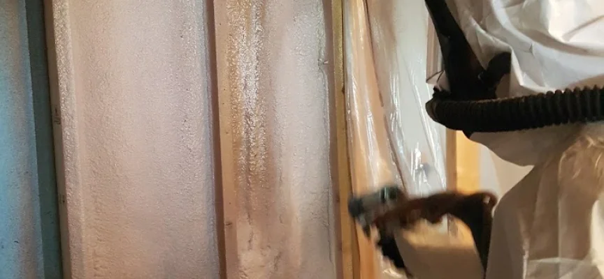 Everything You Need To Know About DC315 Intumescent Coating